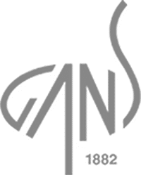 gans GANS logo – valueADD client, restructuring and turnaround advisory
